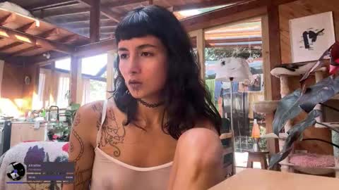 Nina.  online show from 11/30/25, 09:08