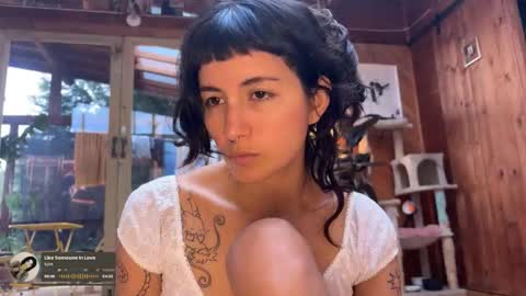 Nina.  online show from 12/18/25, 08:15