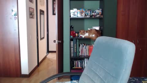 Snapshot of nina_moonbeam chatting on 12/03/25, 08:07 Nina Moon online show from 12/03/25, 08:07