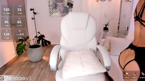 Snapshot of ninaa_sky chatting on 12/12/24, 12:44    online show from 12/12/24, 12:44