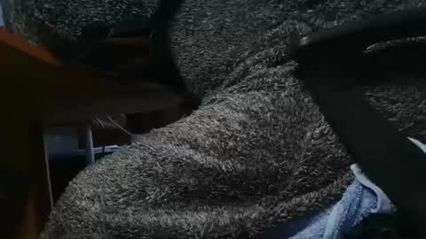 Snapshot of nineinchhard chatting on 01/23/25, 10:22 nineinchhard online show from 01/23/25, 10:22