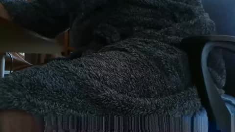 Snapshot of nineinchhard chatting on 03/04/25, 08:02 nineinchhard online show from 03/04/25, 08:02