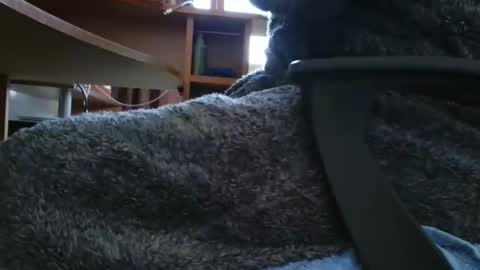 Snapshot of nineinchhard chatting on 03/06/25, 10:20 nineinchhard online show from 03/06/25, 10:20