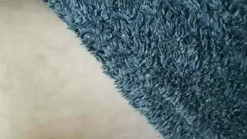 Snapshot of nineinchhard chatting on 01/12/26, 12:10 nineinchhard online show from 01/12/26, 12:10