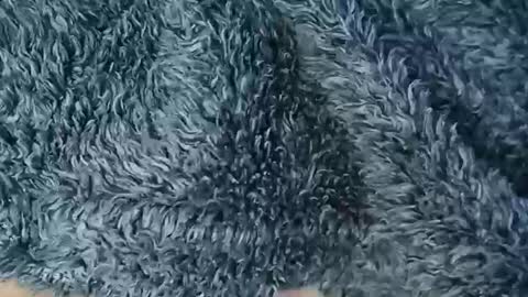 Snapshot of nineinchhard chatting on 02/19/26, 10:55 nineinchhard online show from 02/19/26, 10:55