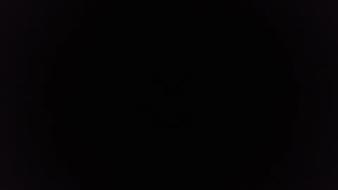 Ninjadance online show from 12/29/24, 11:29