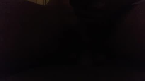 Ninjadance online show from 10/08/25, 08:12