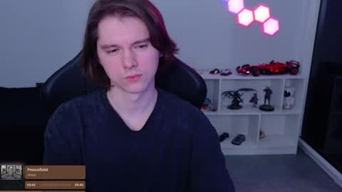 Snapshot of nitroshade chatting on 04/10/26, 11:42 nitroshade online show from 04/10/26, 11:42