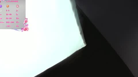 Snapshot of nixiesterling chatting on 07/19/26, 09:07 Nixie online show from 07/19/26, 09:07