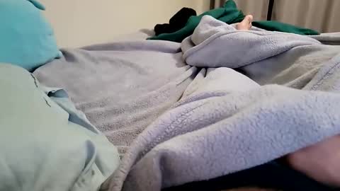 niyo1996 online show from 02/16/26, 01:24