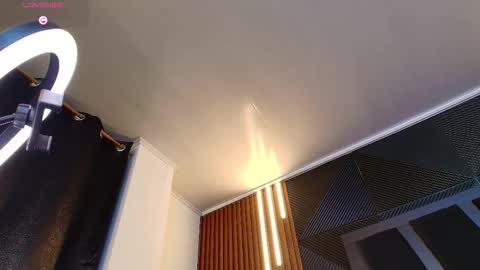 Snapshot of noah_clarkk chatting on 02/13/26, 12:06 Noah online show from 02/13/26, 12:06