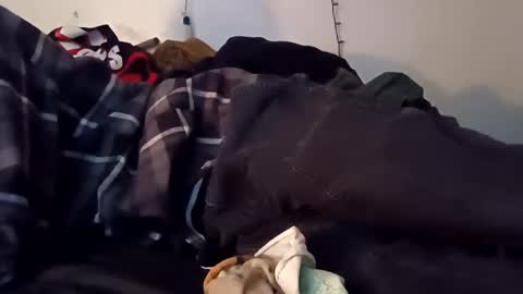 Snapshot of noah_wesley chatting on 12/10/24, 07:16 Noah Wesley online show from 12/10/24, 07:16