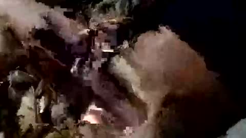 nocturnus1980 online show from 09/10/25, 05:40