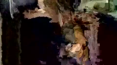 nocturnus1980 online show from 12/01/25, 04:06