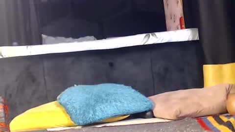 Noir Thats My Name Call Me Bablicious online show from 12/16/24, 10:03