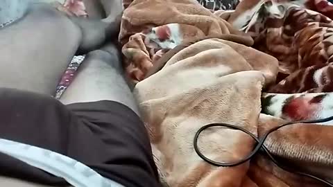 sim  nib online show from 12/03/24, 07:11