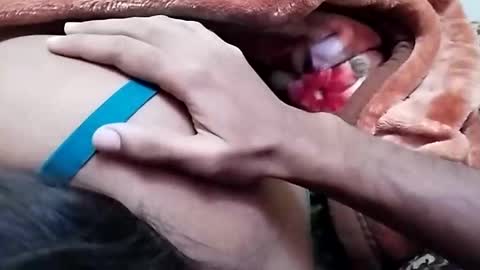 sim  nib online show from 12/26/24, 06:52