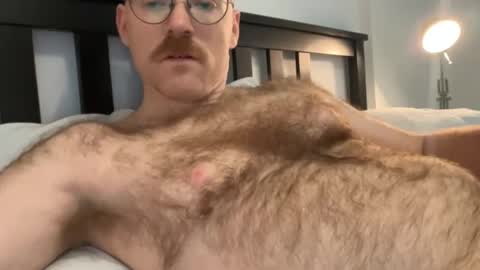 No Plan online show from 12/01/24, 06:08