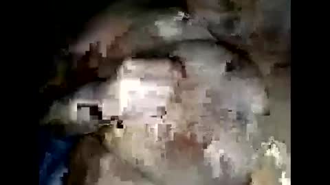 Snapshot of normajeen77777 chatting on 04/14/26, 07:47 normajeen77777 online show from 04/14/26, 07:47