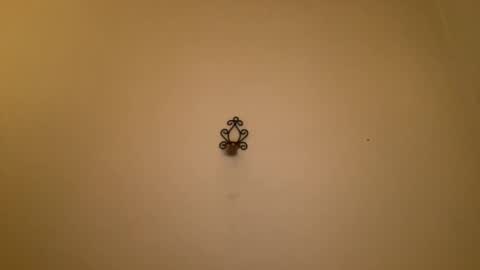 noscandal online show from 02/21/25, 12:16