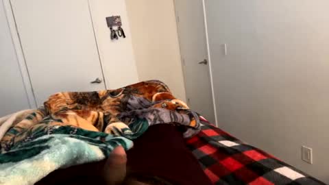 se le perdio algo perra hp online show from 01/02/25, 04:24