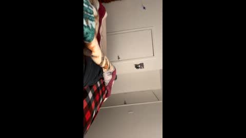 se le perdio algo perra hp online show from 01/10/25, 09:02