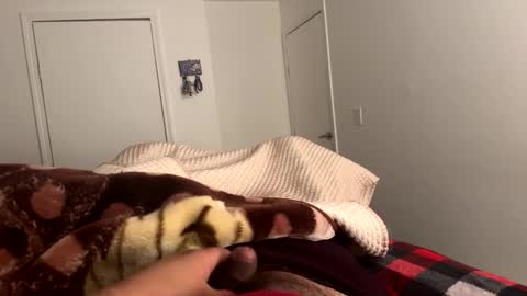 se le perdio algo perra hp online show from 02/24/25, 08:06