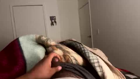 se le perdio algo perra hp online show from 01/15/26, 07:57