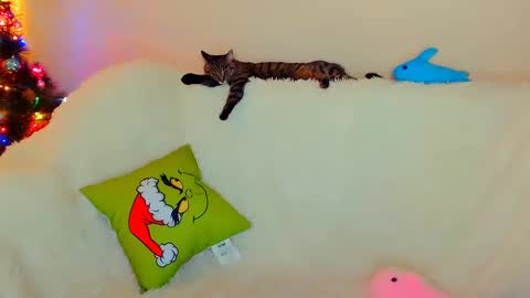 hi glad to chat online show from 12/26/24, 07:56