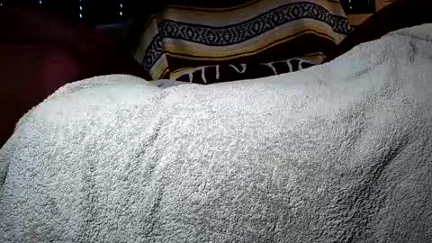 nottoobored online show from 07/14/26, 02:05