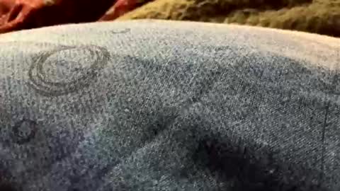 DarqLight online show from 12/19/24, 06:01