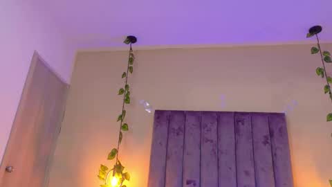 novaaa shayy online show from 02/13/26, 09:00