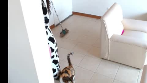 novaperotti online show from 09/14/25, 02:05