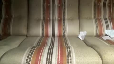 Snapshot of ntvvvv_ chatting on 11/27/25, 03:19 ntvvvv_ online show from 11/27/25, 03:19