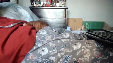 KN online show from 12/23/24, 07:52