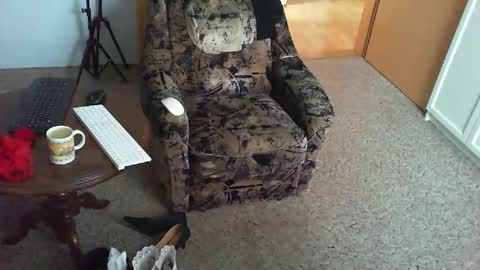 Strumpfhose online show from 11/03/25, 08:48