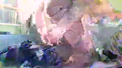 Snapshot of nylonloversffm chatting on 01/17/26, 07:17 NYlonloversFFM online show from 01/17/26, 07:17