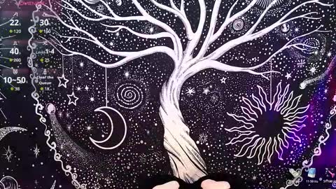 nyx murtualer online show from 12/16/25, 03:00