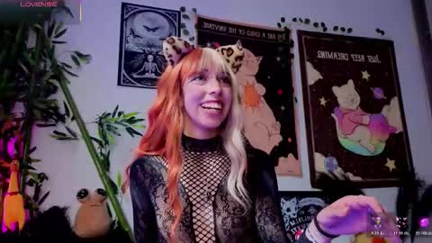   online show from 02/21/26, 08:10