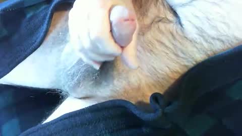 o269x2 online show from 02/13/25, 06:38