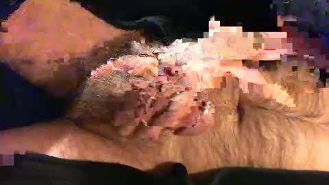 o269x2 online show from 11/09/25, 10:46