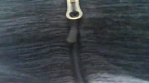 obahiro823844 online show from 01/08/26, 03:14