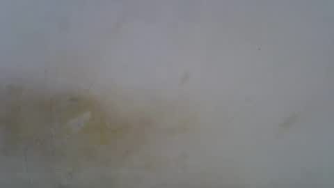 Snapshot of oceanwavves chatting on 05/01/26, 06:23 Paloma online show from 05/01/26, 06:23