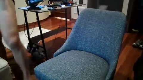 Sky online show from 12/20/24, 02:49