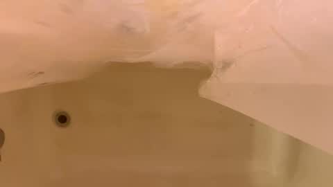 Odin Stone online show from 01/06/26, 06:44