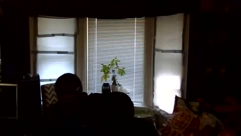 oscar flores online show from 02/16/26, 03:08