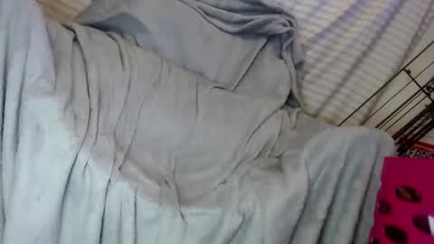 Snapshot of ogdigbick chatting on 02/01/25, 02:13 OGDigBick online show from 02/01/25, 02:13