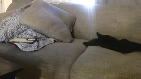 Snapshot of ogdigbick chatting on 11/04/25, 02:16 OGDigBick online show from 11/04/25, 02:16