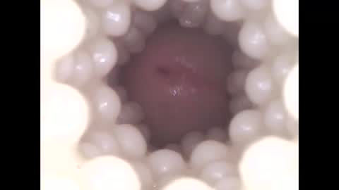 ohioguy4201985 online show from 04/08/26, 09:48