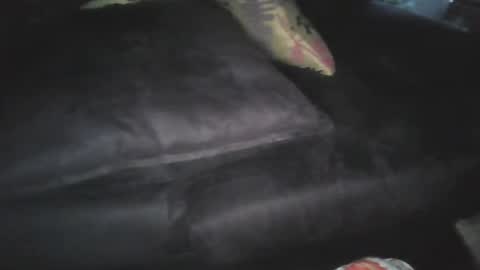 oigreshi online show from 04/12/26, 11:10